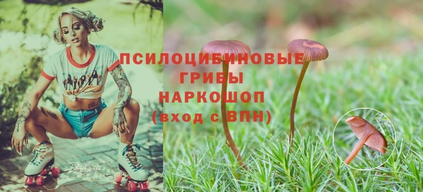 прущая мука Вязьма